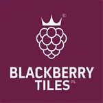 Blackberry - Premium Tiles and Sanitaryware Brand in Surat